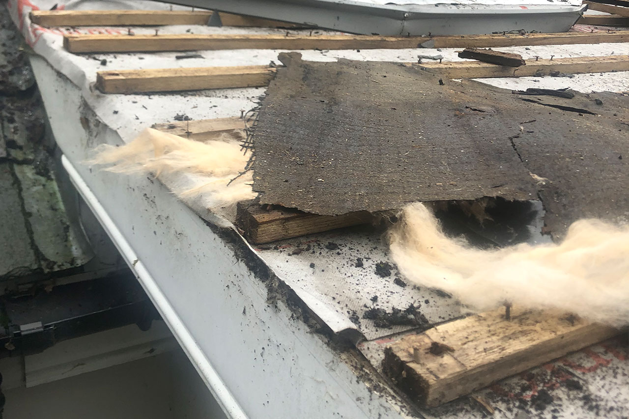 Roof